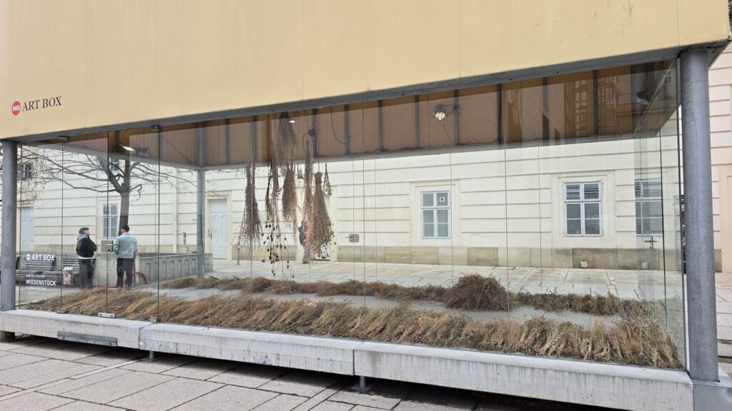 'Wiesenstück' - Anita Fuchs