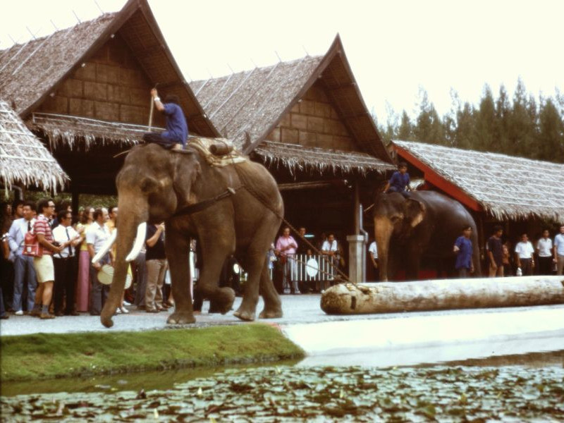 Thailand - Rose Garden, 1974