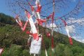 06_Urlaubstage in Mönichwald - "Corona Maibaum"