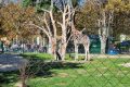 09_An einem herrlichen Herbsttag nach Schönbrunn