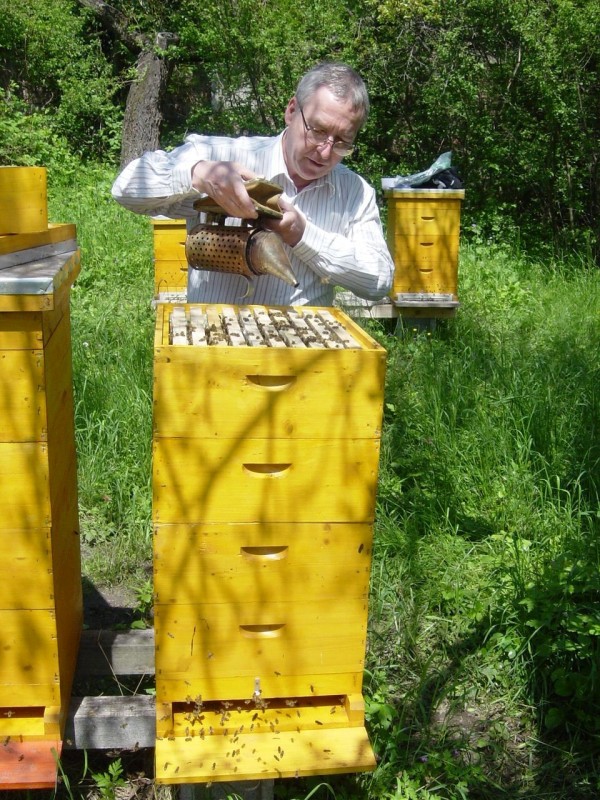 Bei meinem Bienenstand, 2005