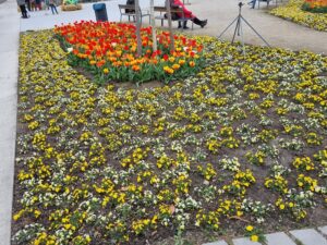 Blumengärten Hirschstetten - Ostern 2024