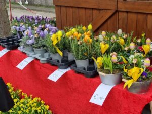 Blumengärten Hirschstetten - Ostern 2024