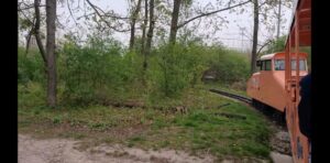 03_Fahrt mit der Liliputbahn